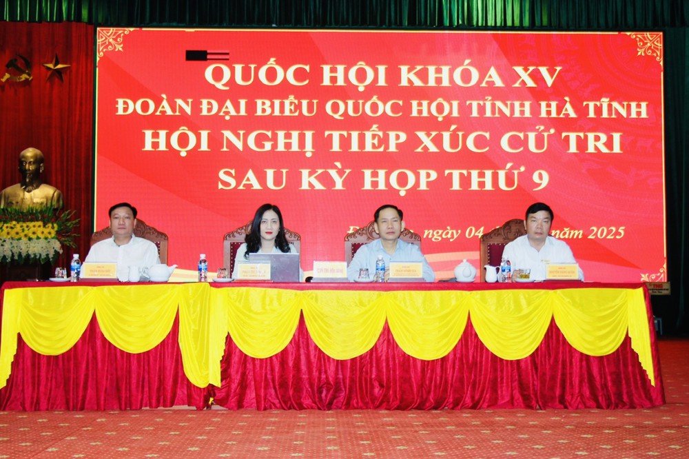 Phó Trưởng đoàn chuyên trách phụ trách Đoàn ĐBQH tỉnh tiếp xúc cử tri tại xã Đức Thọ