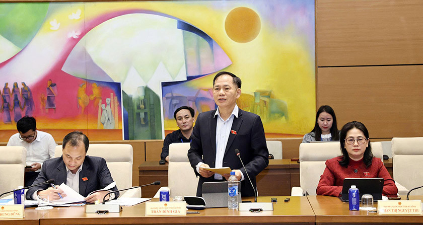 Quốc hội thảo luận tổ về các chủ trương đầu tư và cơ chế phát triển vùng