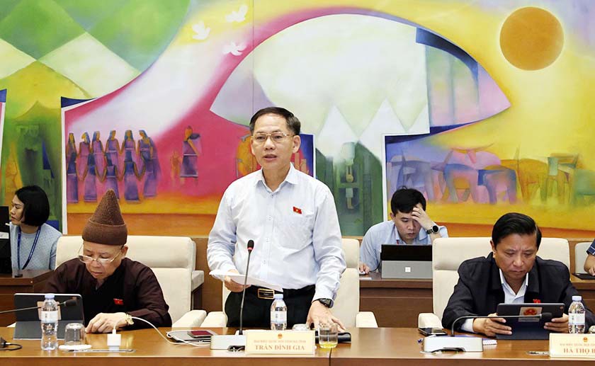 Bảo đảm tính liên tục, đồng bộ trong quá trình phục hồi và phá sản