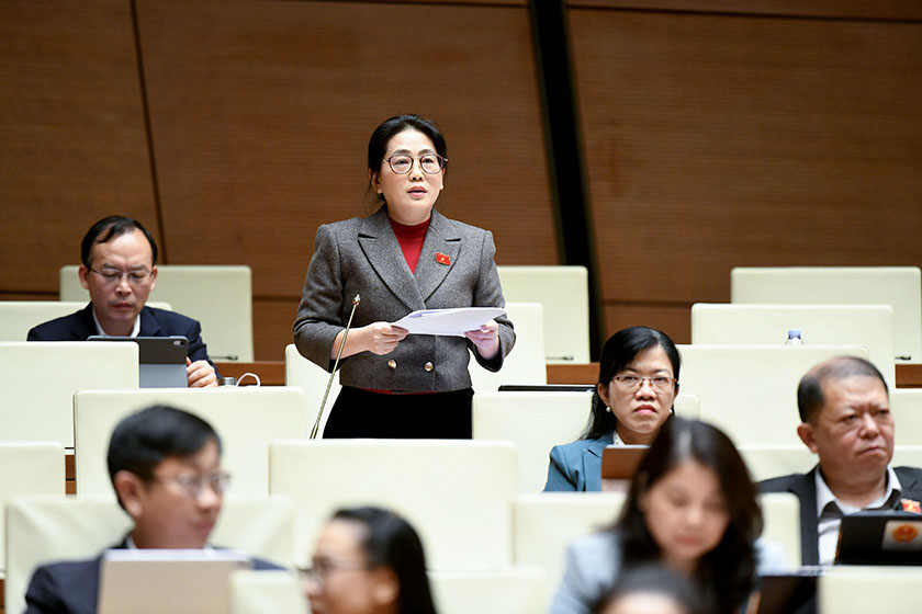 Đại biểu Quốc hội Hà Tĩnh: Thảo luận Luật Phá sản (sửa đổi)