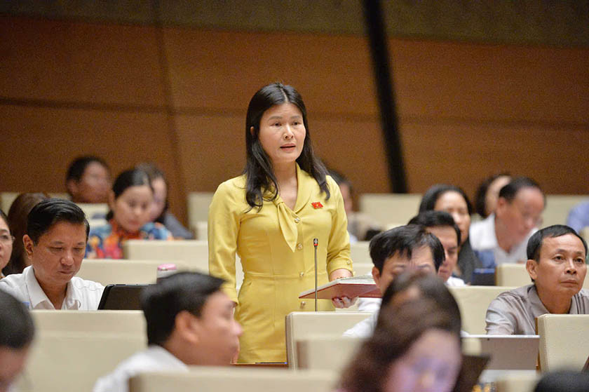 Đại biểu Quốc hội Hà Tĩnh tranh luận về quy định hệ số nợ phải trả