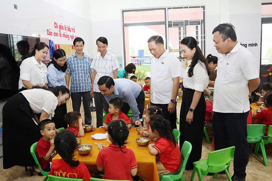 ĐBQH tỉnh khảo sát công tác bảo đảm an toàn thực phẩm tại trường học