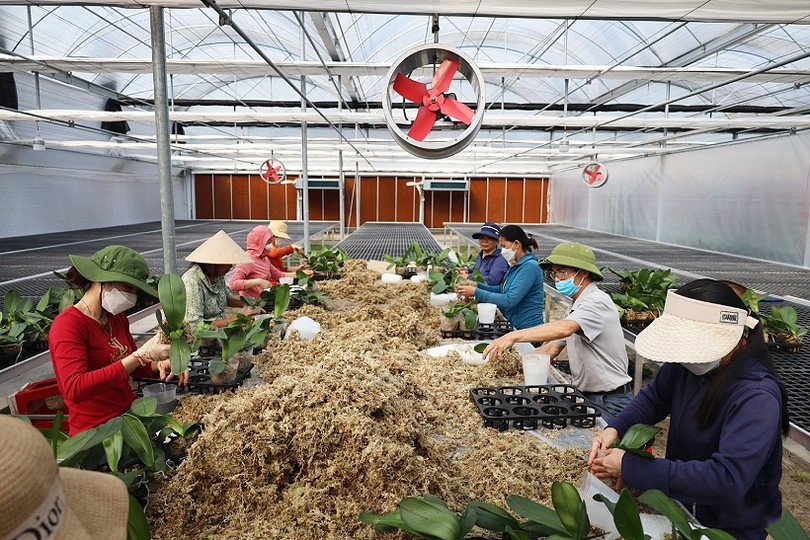 Năm 2026 tổng chi ngân sách hằng năm cho phát triển khoa học, công nghệ, đổi mới sáng tạo, chuyển đổi số trên địa bàn Hà Tĩnh tối thiểu 3%