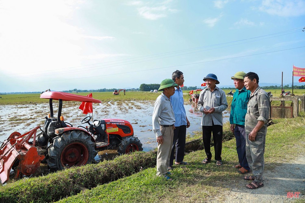 Hiệu quả từ chủ trương tích tụ, tập trung ruộng đất gắn với xây dựng nông thôn mới