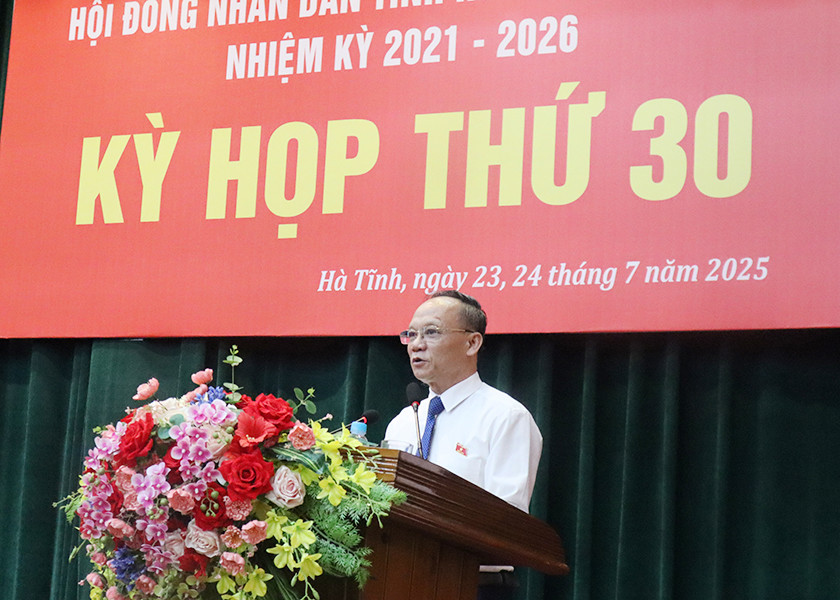 Đại biểu tập trung các vấn đề còn vướng mắc trong vận hành chính quyền địa phương hai cấp