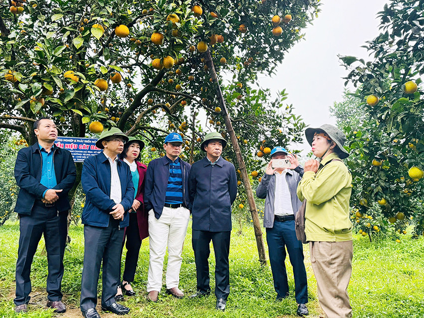 Khảo sát một số mô hình kinh tế tại xã Thượng Lộc - huyện Can Lộc