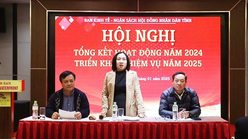 Ban Kinh tế - Ngân sách Hội đồng nhân dân tỉnh tổng kết hoạt động năm 2024, triển khai nhiệm vụ năm 2025