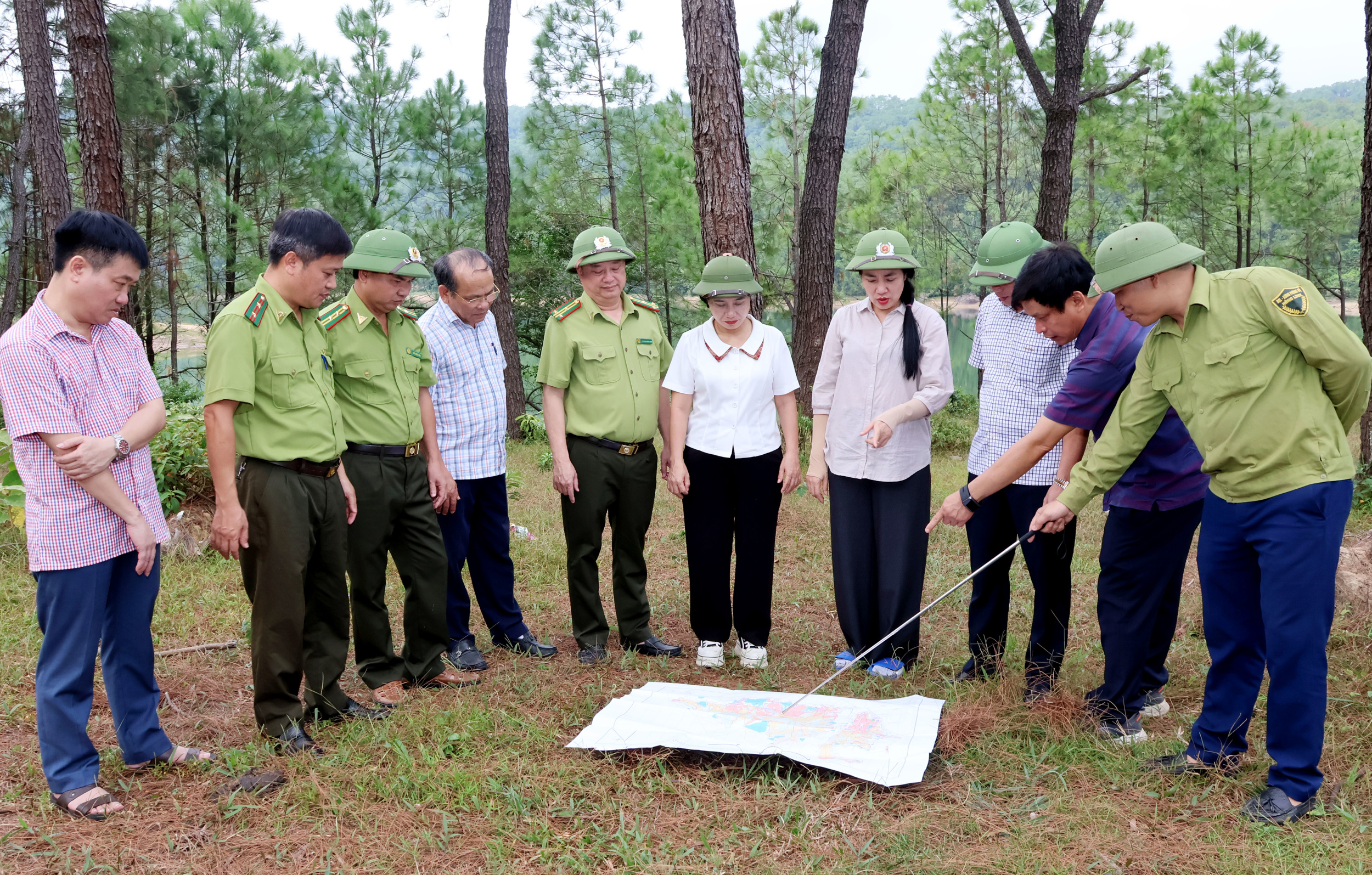 Khó khăn về nhân lực, kinh phí và địa bàn quản lý đặt ra nhiều thách thức trong công tác bảo vệ rừng tại Hồng Lĩnh