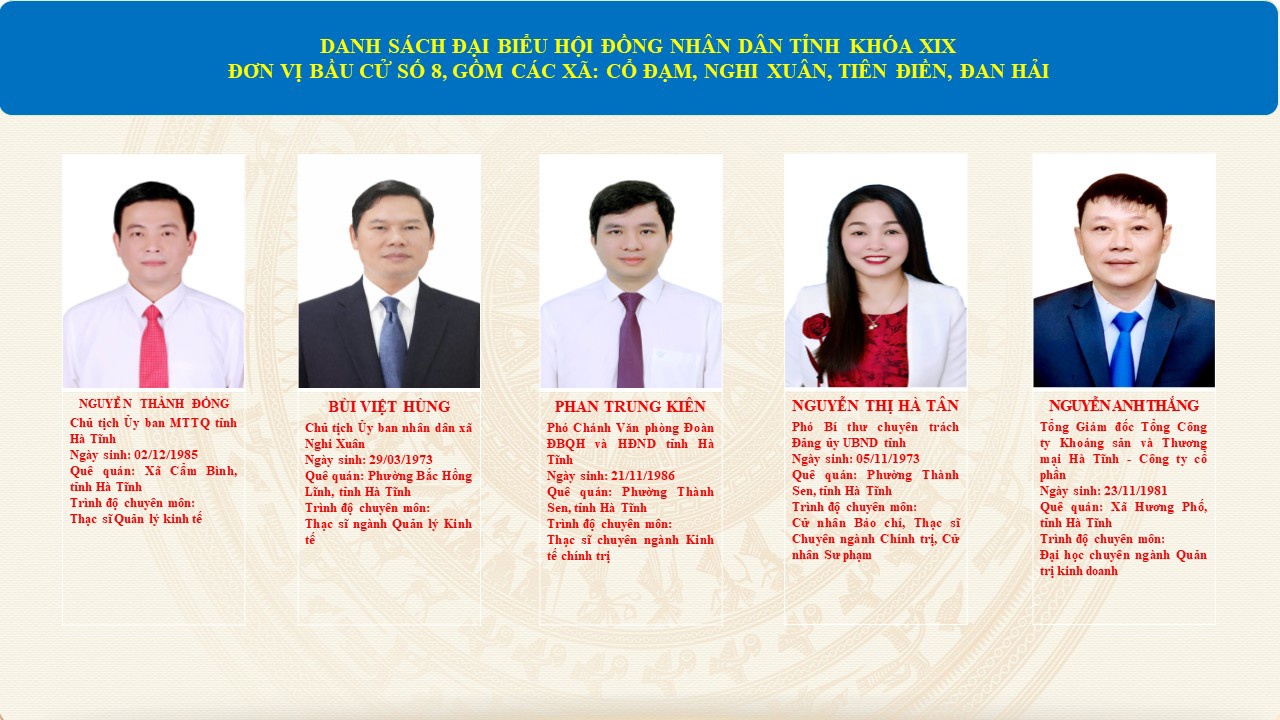 Danh sách những người trúng cử đại biểu Hội đồng nhân dân tỉnh khóa XIX, nhiệm kỳ 2026-2031 đơn vị bầu cử số 8