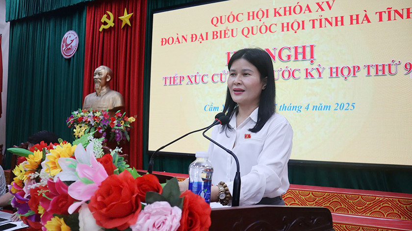 Quan tâm giải quyết thấu đáo các kiến nghị của cử tri huyện Cẩm Xuyên