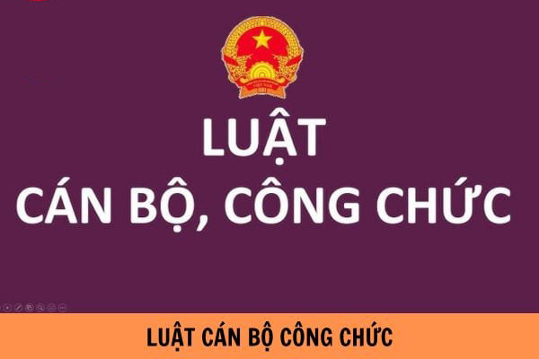 Mười điểm mới nổi bật của Luật Cán bộ, công chức năm 2025